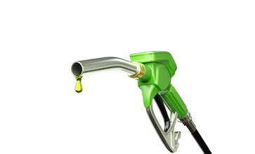 envato-labs-image-edit - 2026-01-18T222514.262